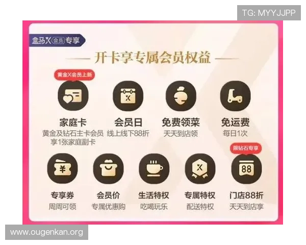 欧博官方网站VIP会员制度及专属权益解析