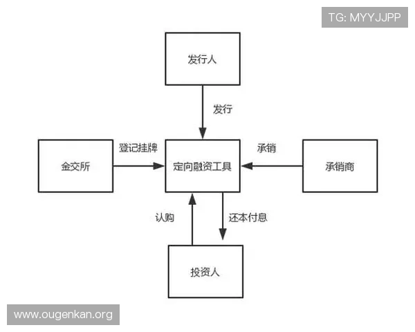欧博私网一比一股东的合作流程与投资者权益保护措施