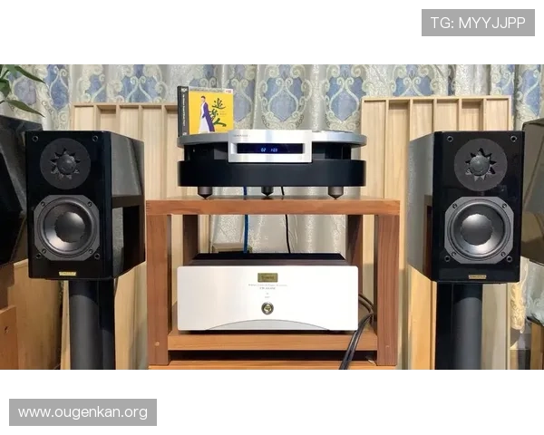 欧博222胆前级与其他品牌的对比分析,找到最适合你的音频设备
